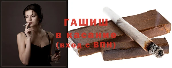 сатива Новозыбков