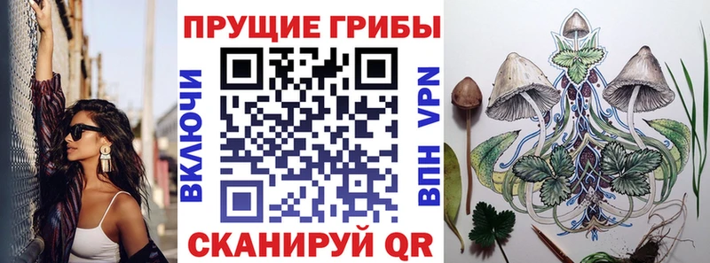 купить MEGA рабочий сайт Галлюциногенные грибы GOLDEN TEACHER Арск
